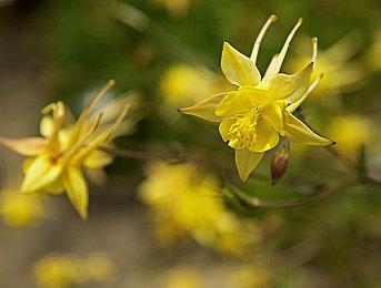 《星球大战：亡命之徒》PS5＆Xbox＆PC对比视频 谁更强？